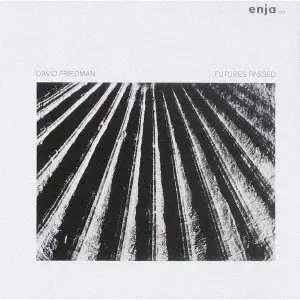デヴィッド・フリードマン / フューチャーズ・パスト