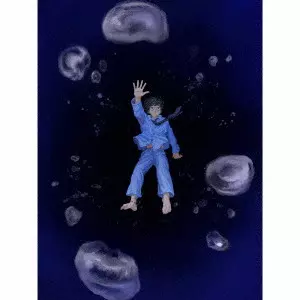 なとり商品一覧｜PUNK｜ディスクユニオン・オンラインショップ