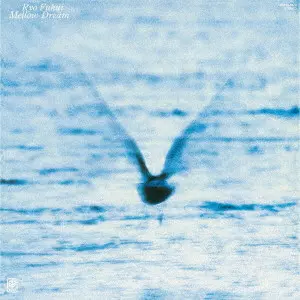 RYO FUKUI / 福居良商品一覧｜JAZZ｜ディスクユニオン・オンライン