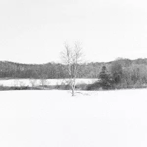 Tatsuro Yokoyama / 横山起朗 / 六花