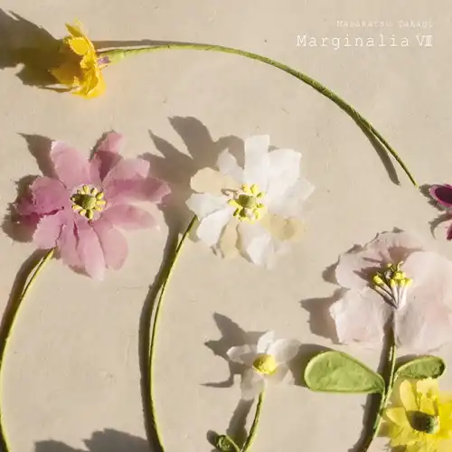 Masakatsu Takagi Marginalia アナログ盤LP レコード マージナリアVIII/MASAKATSU TAKAGI/高木正勝/完全生産限定盤 / 高木