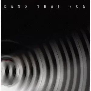 ダン・タイ・ソン~ピアノ・ヒストリー~/DANG THAI SON/ダン・タイ