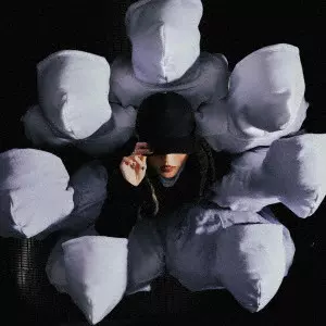 Arche / THE BLACK SHEEP OF THE FAMILY(通常盤)