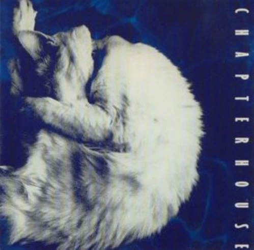 Chapterhouse(チャプターハウス) / Rownderbowt Chapterhouse(チャプターハウス) / Rownderbowt Chapterhouse