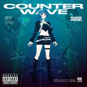 TAO / 導凰 / COUNTER WAVE(通常盤)