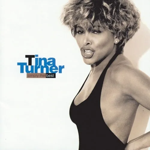 TINA TURNER / ティナ・ターナー / シンプリー・ザ・ベスト (Blu-specCD2)