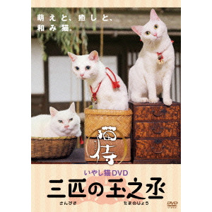 V.A. / オムニバス / いやし猫DVD 猫侍 三匹の玉之丞