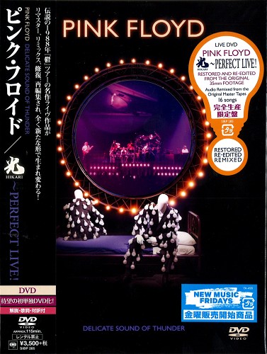 PINK FLOYD / ピンク・フロイド / DELICATE SOUND OF THUNDER: RESTORED, RE-EDITED & REMIXED / 光~PERFECT LIVE!