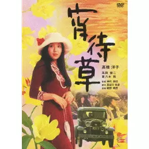 宵待草　DVD 91PVy3RtkZL._AC_UF350,