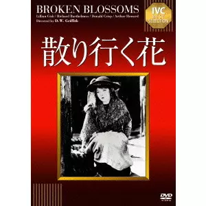 ソウル・フラワー・クリーク [DVD] ディスコグラフィ | ソウル・フラワー・ユニオン | ソニーミュージック