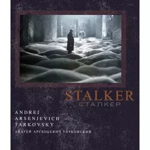 ANDREI TARKOVSKY / アンドレイ・タルコフスキー / ストーカー