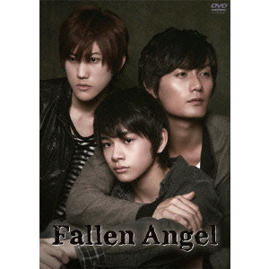 NAKAJIMA RYO / 中島良 / Fallen Angel DVD-BOX