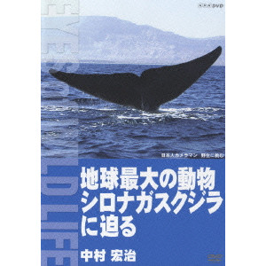 中村宏治 / 地球最大の動物 シロナガスクジラに迫る