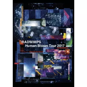 【レア】RADWIMPS 糸色 冊子 Radwimps – 君の名は。 – 2 x Vinyl (Gatefold, LP, Album + 2