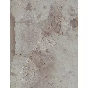 RINGO SHIINA / 椎名林檎 / 椎名林檎と彼奴等の居る真空地帯