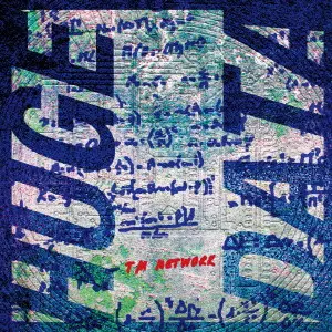 TM NETWORK/TM NETWORK 30th 1984～QUIT30 … TM NETWORK 30th 1984~ QUIT30 HUGE DATA/TM NETWORK/ティー・エム