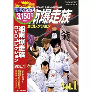 湘南爆走族 DVDコレクション VOL.1/西沢信孝｜映画DVD・Blu-ray