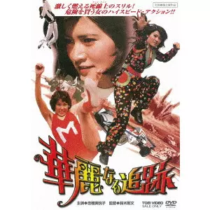 NORIFUMI SUZUKI / 鈴木則文  / 華麗なる追跡