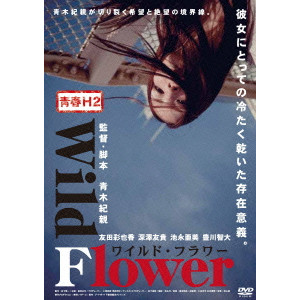 AOKI NORICHIKA / 青木紀親 / 青春H2 Wild Flower ワイルド・フラワー