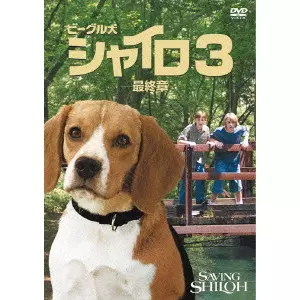 ビーグル犬シャイロ3-最終章- 特別版/サンディ・タン｜映画DVD・Blu