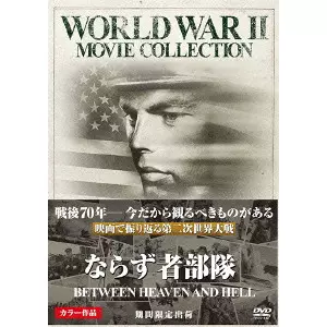 RICHARD FLEISCHER / リチャード・フライシャー / ならず者部隊
