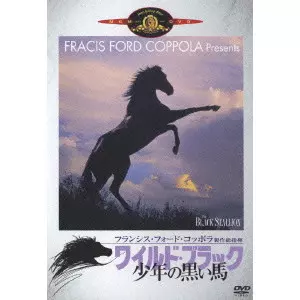 ワイルドブラックTHE BLACK STALLION USオリジナル映画ポスター