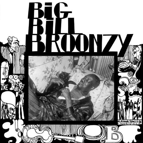 BIG BILL BROONZY / ビッグ・ビル・ブルーンジー / BIG BILL BROONZY (LP)