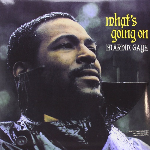MARVIN GAYE / マーヴィン・ゲイ / WHAT'S GOING ON (LP)
