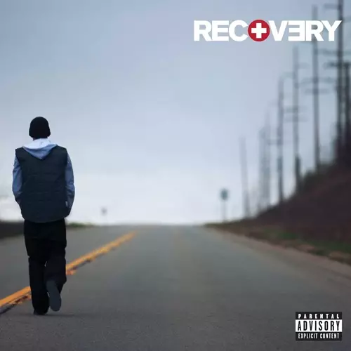 EMINEM / エミネム / RECOVERY "LP"