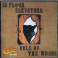 13TH FLOOR ELEVATORS / サーティーンス・フロア・エレヴェーターズ / BULL OF THE WOODS