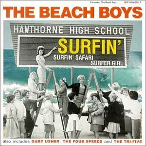 BEACH BOYS / ビーチ・ボーイズ / SURFIN-USA