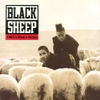 WOLF IN SHEEPS CLOTH (LP)/BLACK SHEEP/ブラック・シープ｜HIPHOP/R&B