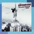 DAVID BROMBERG / デヴィッド・ブロンバーグ / WANTED DEAD OR ALIVE