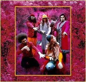 CAPTAIN BEEFHEART (& HIS MAGIC BAND) / キャプテン・ビーフハート / GROW FINGS-RARITIES(1965-1982)