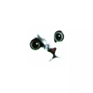 CHAPTERHOUSE / チャプターハウス / ROWNDERBOUT