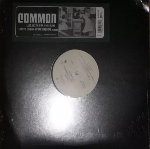LIKE WATER FOR CHOCOLATE INSTRUMENTAL アナログ2LP/COMMON (COMMON