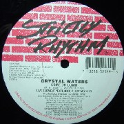 CRYSTAL WATERS / クリスタル・ウォーターズ / COME ON DOWN