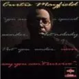 NEVER SAY YOU CAN'T SURVIVE/CURTIS MAYFIELD/カーティス・メイ