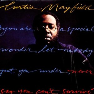 CURTIS MAYFIELD / カーティス・メイフィールド / NEVER SAY YOU CAN'T SURVIVE + DO IT ALL NIGHT 