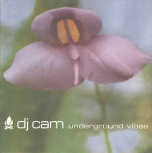 DJ CAM / DJカム / UNDERGROUND VIBES