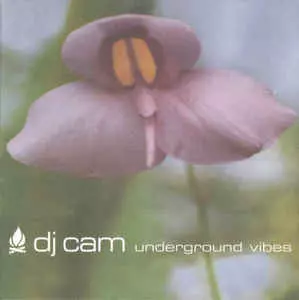 UNDERGROUND VIBES/DJ CAM/DJカム｜CLUB/DANCE｜ディスクユニオン