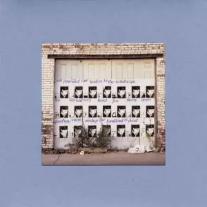 BITTE ORCA (180G LP)/DIRTY PROJECTORS/ダーティ・プロジェクターズ