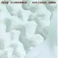 DROP NINETEENS / ドロップ・ナインティーンズ / NATIONAL COMA