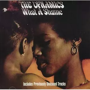 DYNAMICS (SOUL) / ダイナミックス (SOUL) / WHAT A SHAME