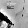 HEINZ HOLLIGER / ハインツ・ホリガー / HOLLINGER:LAUDS & LAMENTATION / 賛歌と哀歌