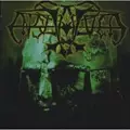 ENSLAVED / エンスレイヴド / ENSLAVED (VIKINGLIGR VELDI)