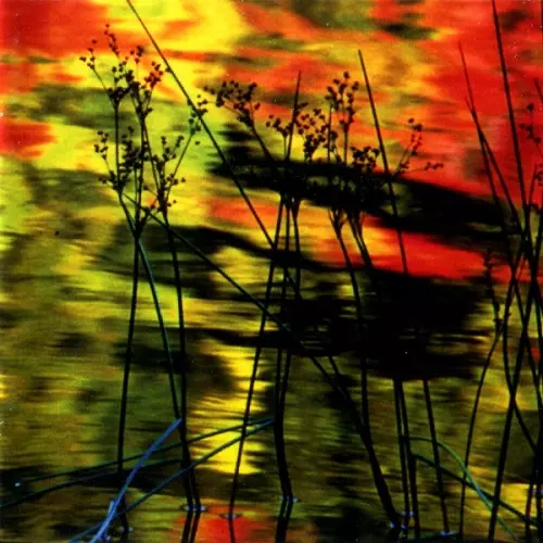 EXIT-13 / ETHOS MUSICK