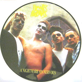 FRANTIC FLINTSTONES / フランティック・フリントストーンズ / NIGHTMARE ON NERVOUS (PICTURE DISC) 