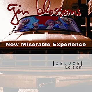 GIN BLOSSOMS / ジン・ブロッサムズ / NEW MISERABLE EXPERIENCE...