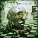 GOV'T MULE / ガヴァメント・ミュール / LIFE BEFORE INSANITY